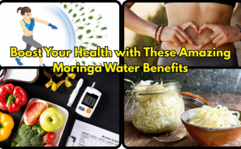 Boost Your Health with These Amazing Moringa Water Benefits